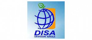 disa