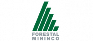 forestal mininco