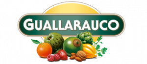 guallarauco