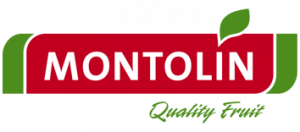 montolin